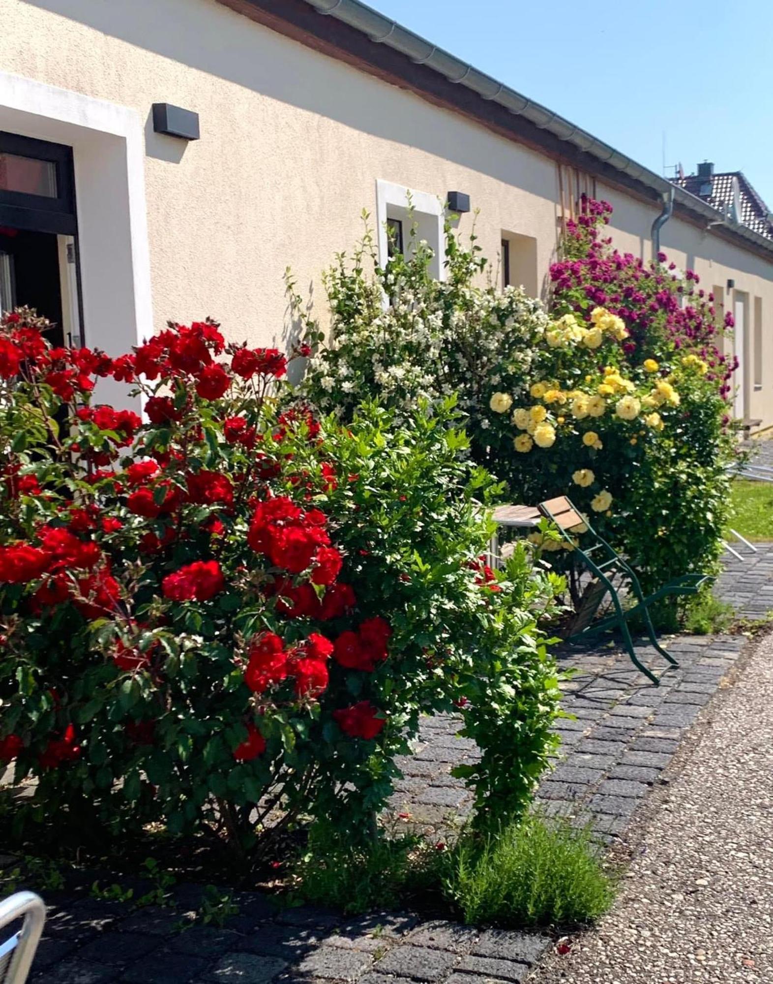 Die Senfbude - Klein Aber Fein - Wunderschoenes Studio-Apartment Mit Terrasse Und Stellplatz Lipcse Kültér fotó